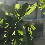 Chiara Apartment Vodice