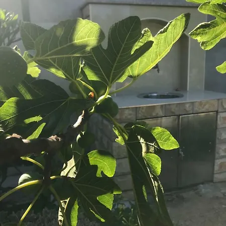 Chiara Apartment Vodice
