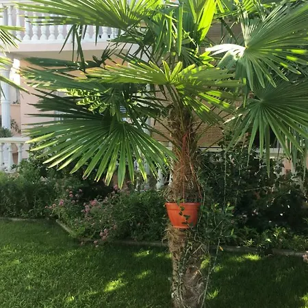 Chiara Apartment Vodice