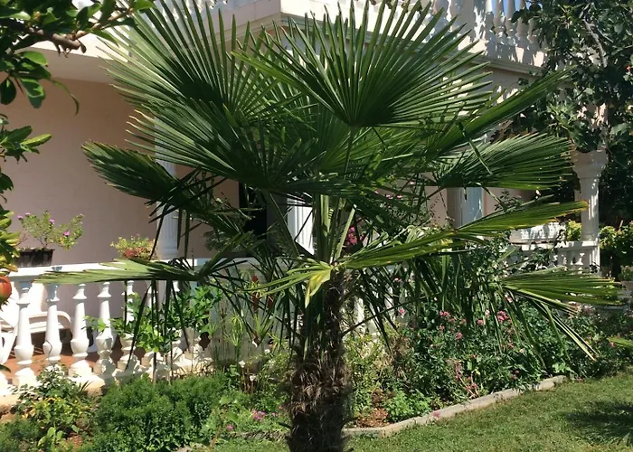 Appartement Chiara *