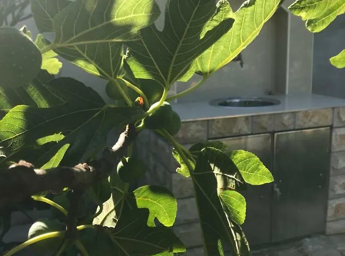 Chiara Apartamento Vodice