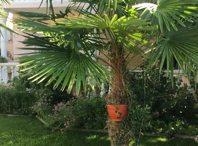 Chiara Apartamento Vodice